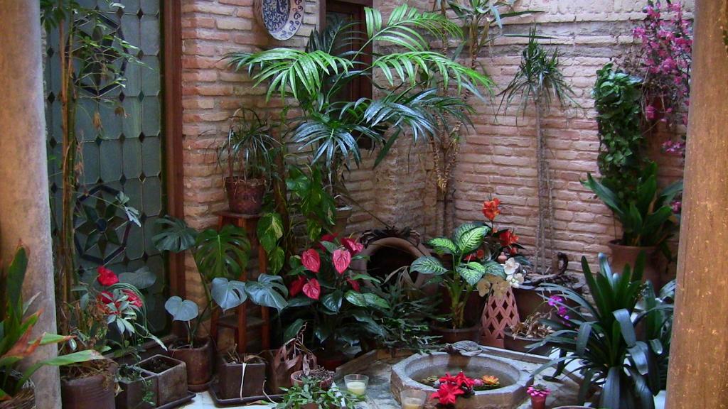 Pension Alfin Granada Buitenkant foto